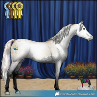 Horse Color:Gray Watercolor Red Ice Roan Splash Appaloosa 