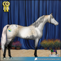 Horse Color:Gray Watercolor Red Ice Roan Splash Appaloosa