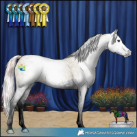 Horse Color:Gray Watercolor Red Ice Roan Splash Appaloosa 