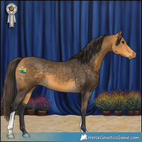 Horse Color:Buckskin 