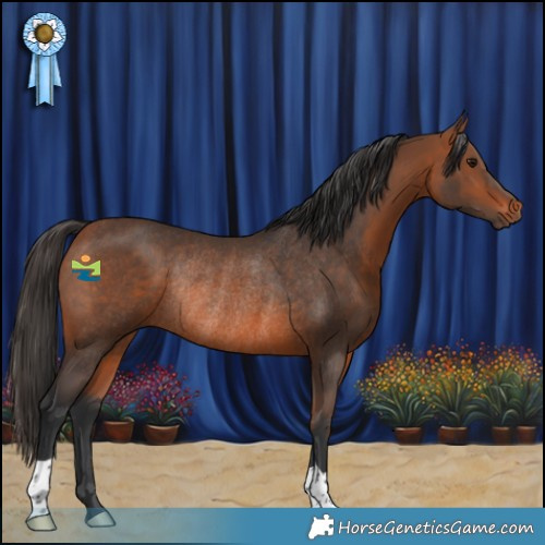 Horse Color:Bay Rabicano 