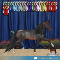 Horse Color:Brown Rabicano 