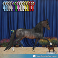 Horse Color:Brown Rabicano