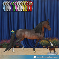 Horse Color:Brown Rabicano 