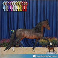 Horse Color:Brown Rabicano 