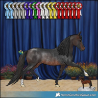 Horse Color:Brown Rabicano