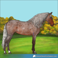 Horse Color:Silver Brown Roan 