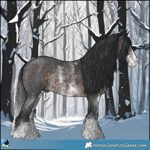 Horse Color:Brown Ice Sabino Rabicano 