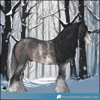 Horse Color:Brown Ice Sabino Rabicano 