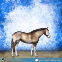 Horse Color:White Spotted Liver Red Onyx Splash 