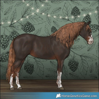 Horse Color:Liver Chestnut  and Liver Chestnut 