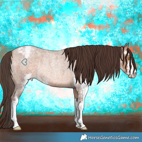Horse Color:Amber Champagne Roan Sabino Varnish Rabicano 