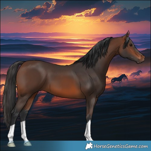 Horse Color:Brown 