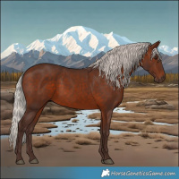 Horse Color:Silver Brown 