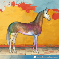 Horse Color:Buckskin Splash 