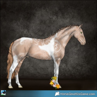 Horse Color:Liver Chestnut Ice Pearl Tobiano 