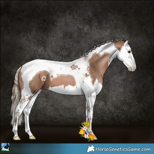 Horse Color:White Spotted Black Pearl Splash Tobiano 