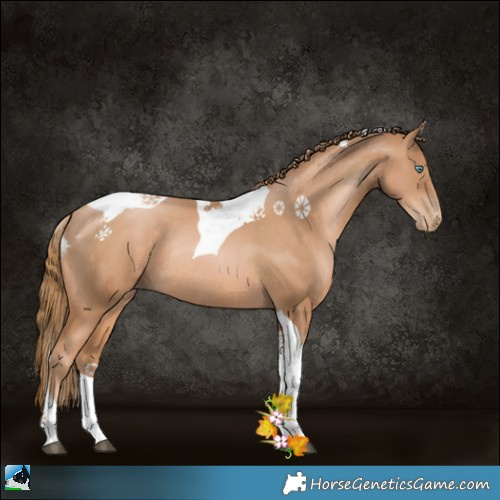 Horse Color:Chestnut Pearl Tobiano Rabicano