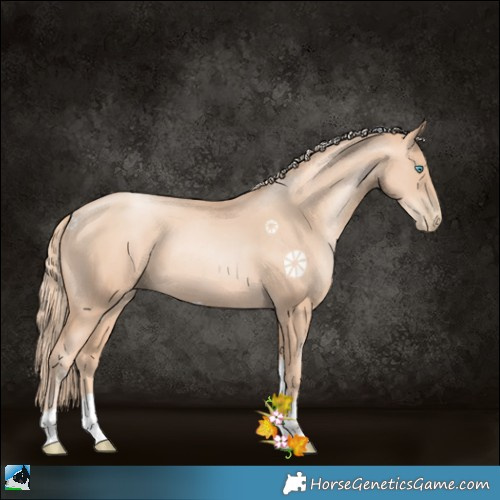 Horse Color:Gold Champagne Pearl Tobiano 
