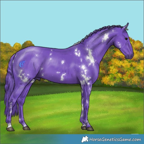 Horse Color:Watercolor White Spotted Black 