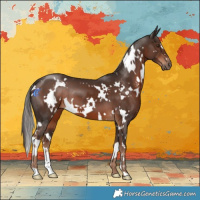 Horse Color:White Spotted Liver Chestnut