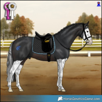 Horse Color:Brown Splash