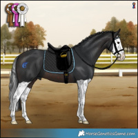 Horse Color:Brown Splash 