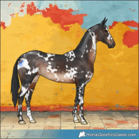 Horse Color:White Spotted Brown 