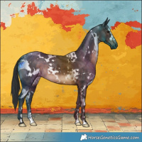 Horse Color:White Spotted Brown