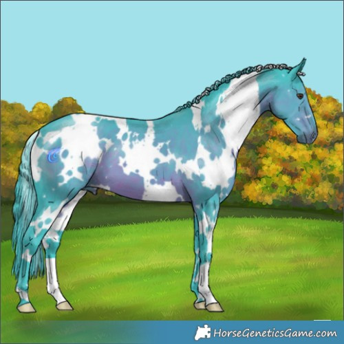 Horse Color:Watercolor White Spotted Liver Chestnut 