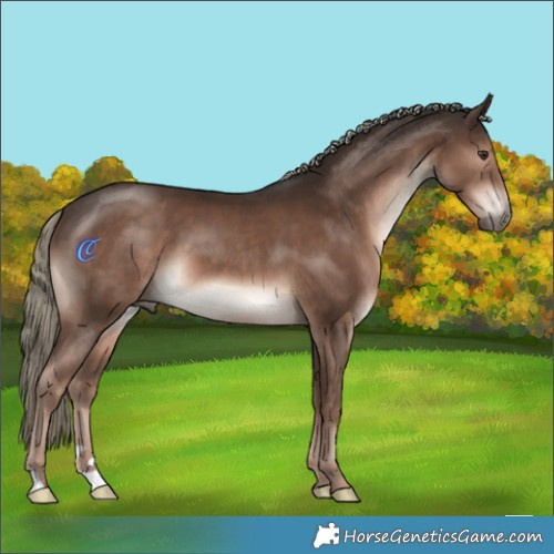 Horse Color:Liver Chestnut Mushroom 