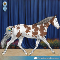 Horse Color:White Spotted Silver Black Splash 