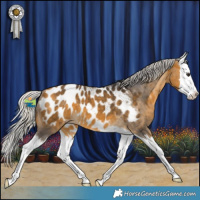 Horse Color:White Spotted Silver Buckskin Splash Near Leopard 