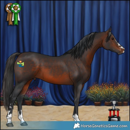 Horse Color:Brown 