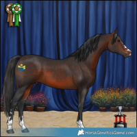 Horse Color:Brown 