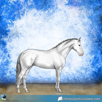 Horse Color:Black Sabino Rabicano 