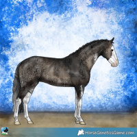 Horse Color:Blue Onyx Ice Sabino Splash