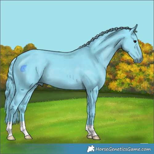 Horse Color:Watercolor Black Mushroom 