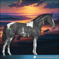 Horse Color:Black Sabino Tobiano 