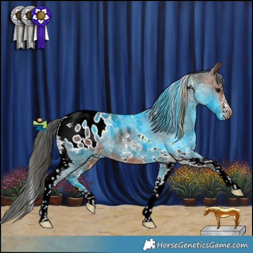 Horse Color:Brown Sabino Tobiano Appaloosa Rabicano 