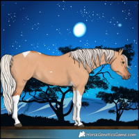 Horse Color:Silver Bay Dun Tobiano 