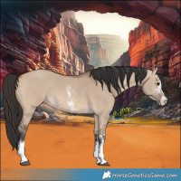 Horse Color:Bay Dun Sabino Rabicano 