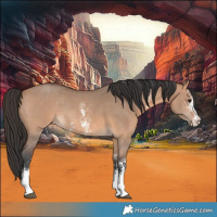 Horse Color:Bay Dun Sabino Rabicano 