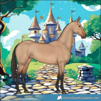 Horse Color:Bay Dun