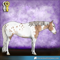Horse Color:Silver Brown Dun Splash Tobiano Blanket Rabicano 