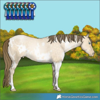 Horse Color:White Spotted Buckskin Pearl Dun Varnish Rabicano 