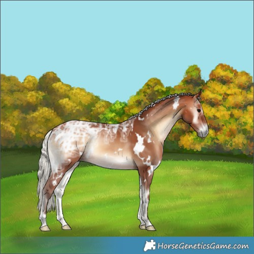 Horse Color:White Spotted Silver Bay Ice Onyx 