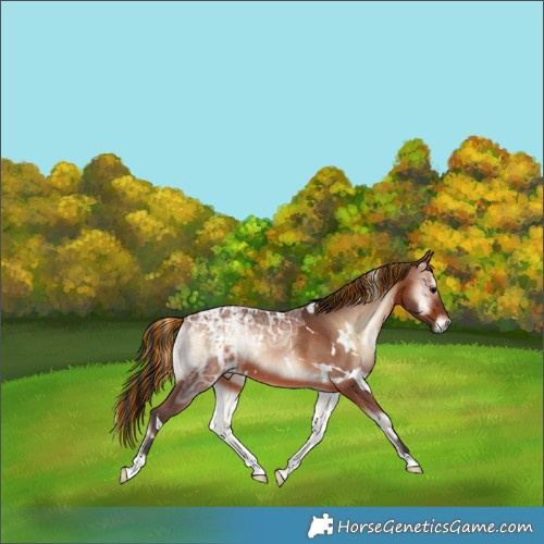 Horse Color:Painted White Spotted Bay Ice Onyx 