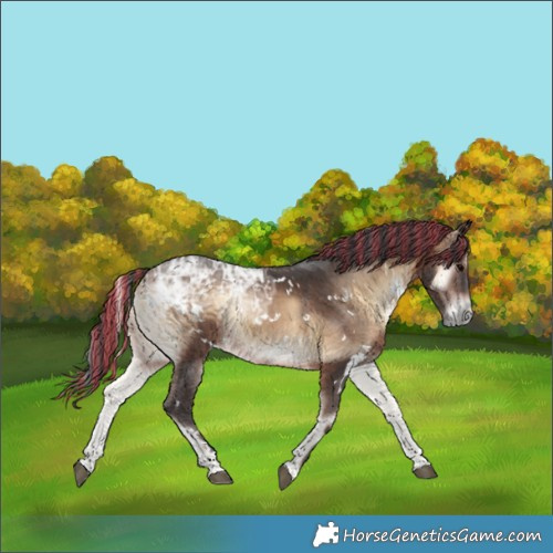 Horse Color:Painted White Spotted Brown Ice Onyx 
