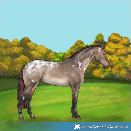 Horse Color:Painted White Spotted Brown Ice Dun 